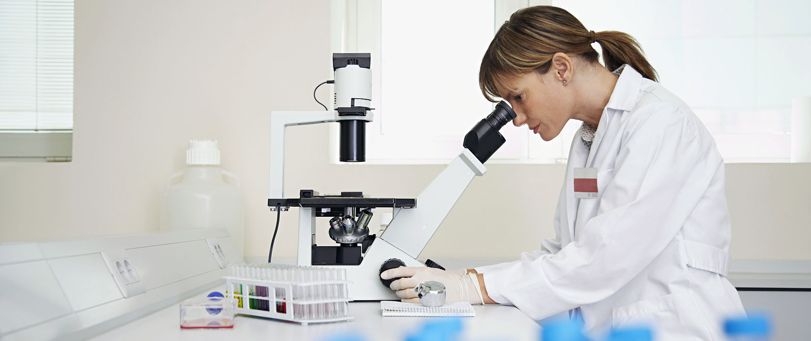 Laboratorio di Analisi